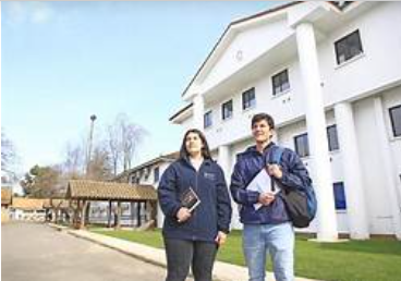 formarme en educación 